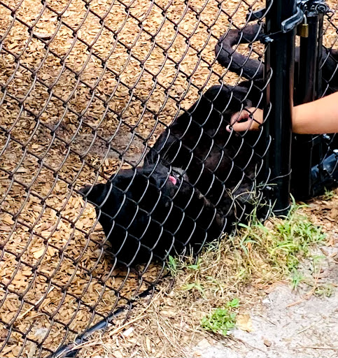 Tourist Attraction «Panther Ridge Conservation Center», reviews and photos, 14755 Palm Beach Point Blvd, Wellington, FL 33414, USA