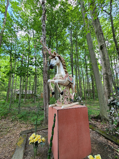 Tourist Attraction «The Great Lakes Medieval Faire», reviews and photos, 3033 OH-534, Rock Creek, OH 44084, USA