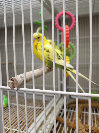 Pet Supply Store «Pet Supplies Plus», reviews and photos, 1791 W Columbia Ave, Battle Creek, MI 49015, USA