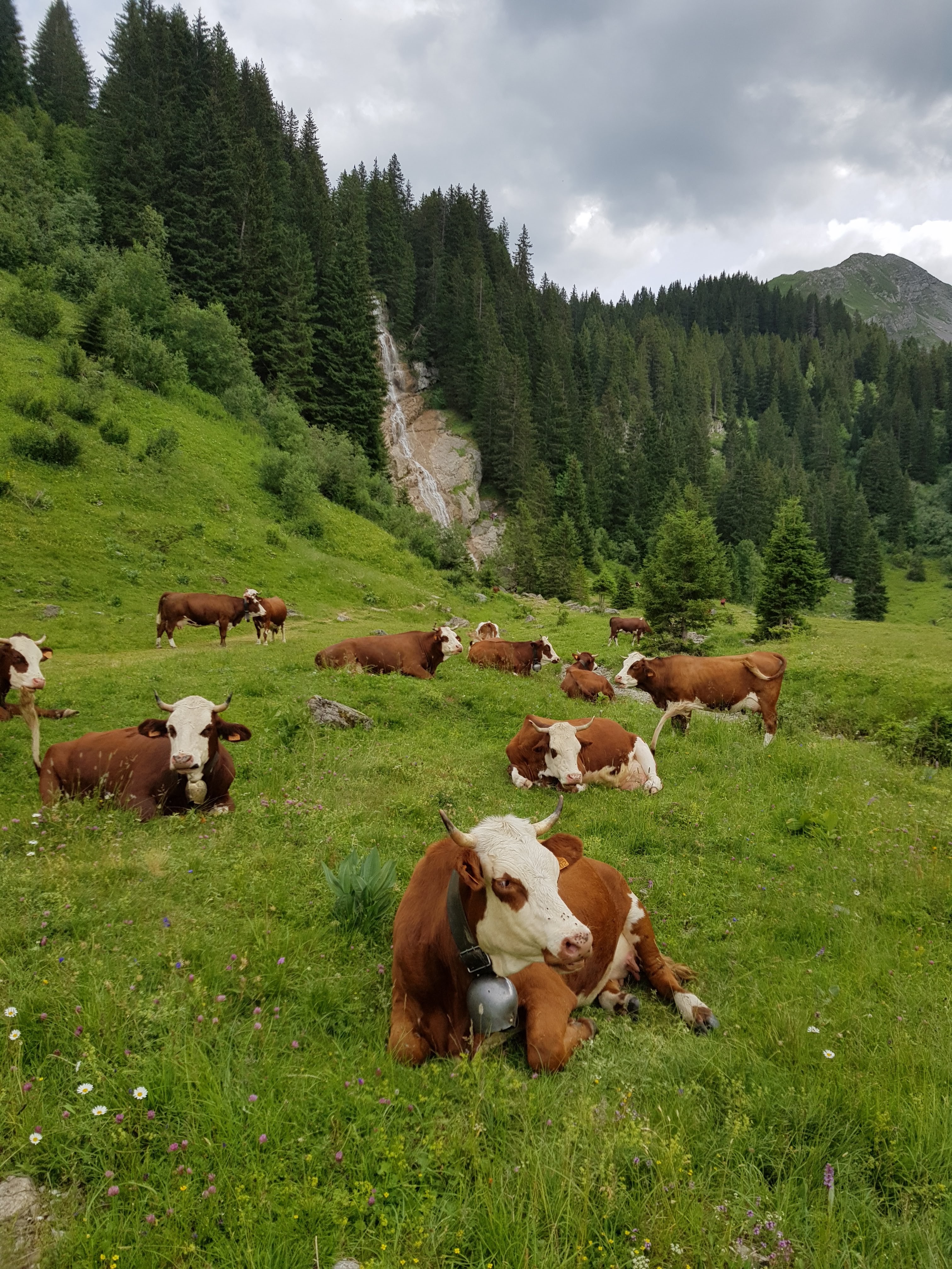 Photo n° 2 de l'avis de Sylvie.v fait le 18/07/2019 à 18:54
