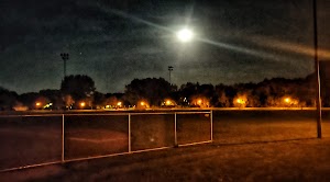Lions Park - photo 28
