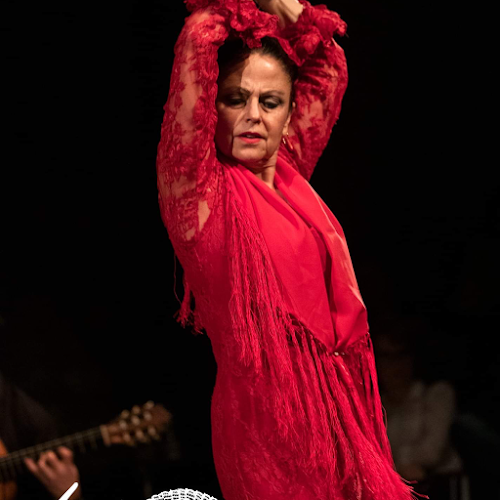 Flamenco Bern la Ursula - Tanzschule