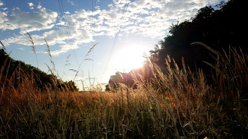 Park «Macgregor Park», reviews and photos, Macgregor Park Rd, Westfield, IN 46074, USA