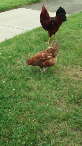 3855 Clarksville Pike, Nashville, TN 37218, USA