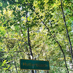Photo n°1 de l'avis de Andrea.. fait le 14/09/2023 à 15:54 sur le  Hotel Hullerbusch à Feldberger Seenlandschaft