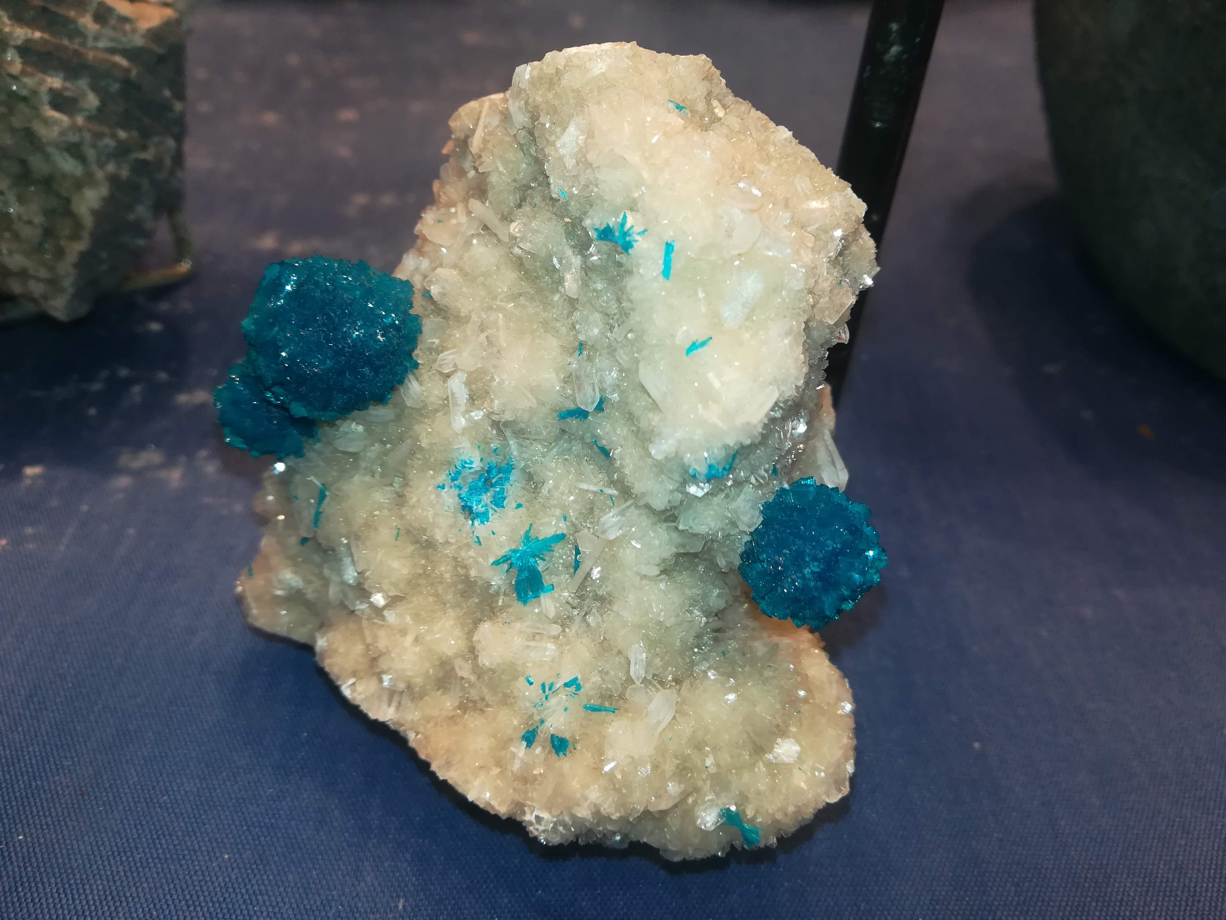 Photo n° 32 de l'avis de missbigsmile. fait le 03/07/2018 à 05:14