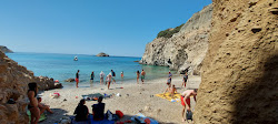 Tsigrado beach'in fotoğrafı vahşi alan