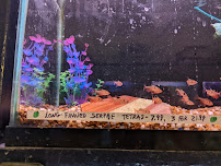 Congressional Aquarium - Photo 7 - Car repair in Rockville, MD, Washington