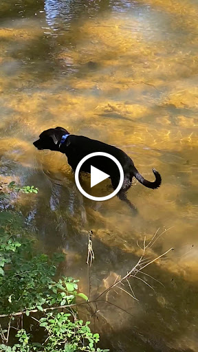 Ice Skating Rink «Pavilion Recreation Complex», reviews and photos, 400 Scottswood Rd, Taylors, SC 29687, USA