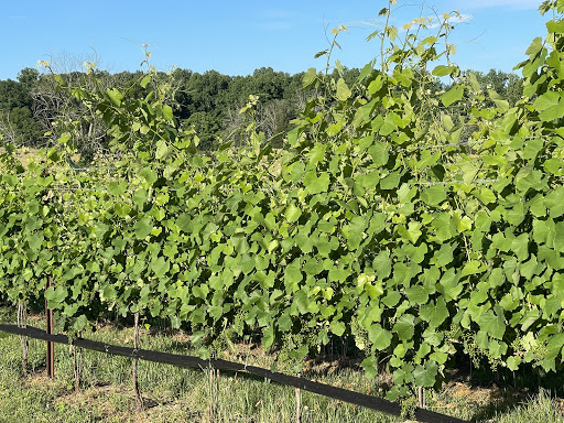 Winery «Granite Heights Winery», reviews and photos, 8141 Opal Rd, Warrenton, VA 20186, USA