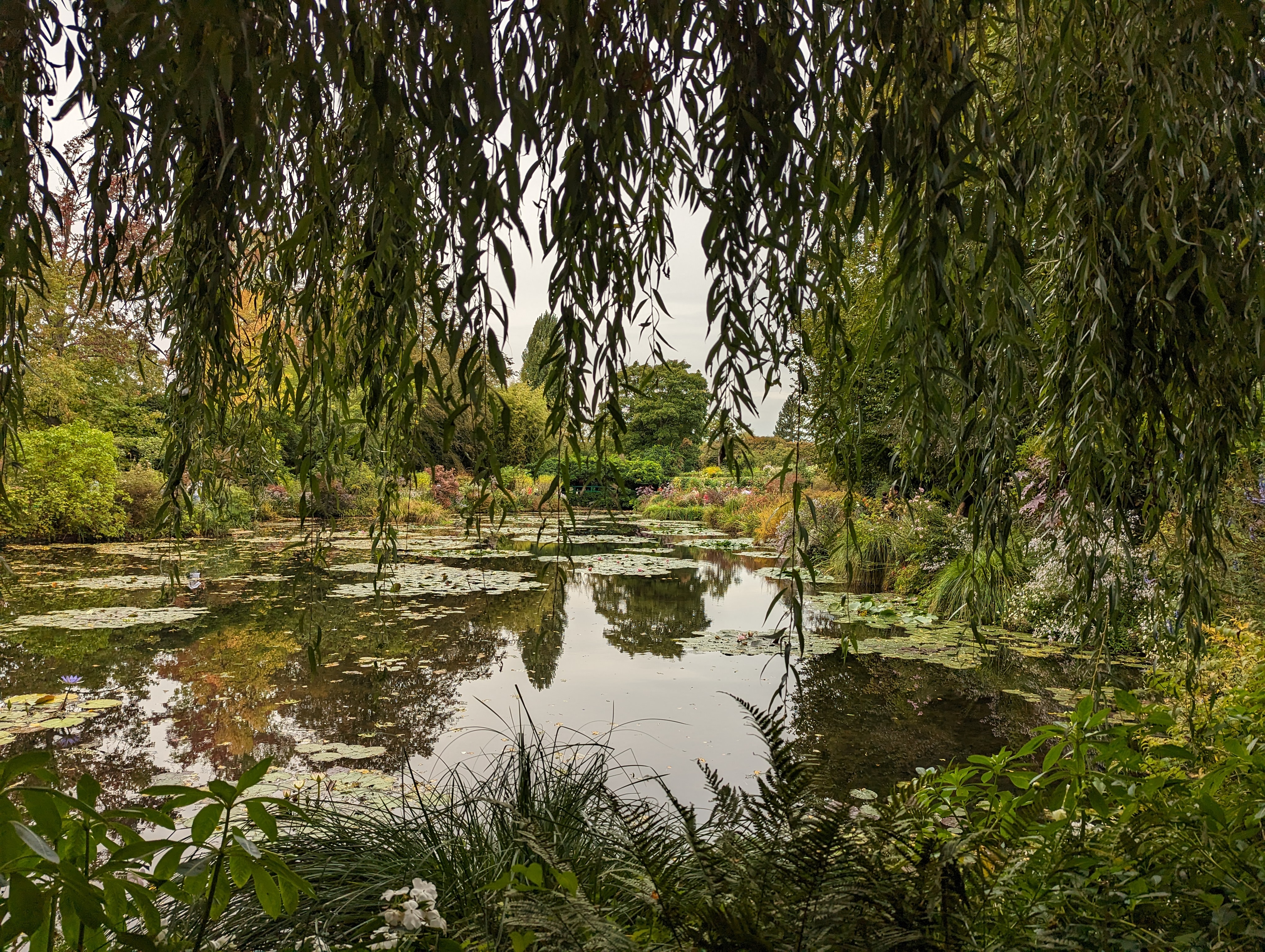 Photo n° 8 de l'avis de Salima.l fait le 05/11/2023 à 22:12