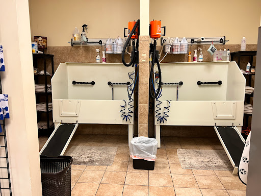 Pet Supply Store «EarthWise Pet Supply», reviews and photos, 3454 Lithia Pinecrest Rd, Valrico, FL 33596, USA