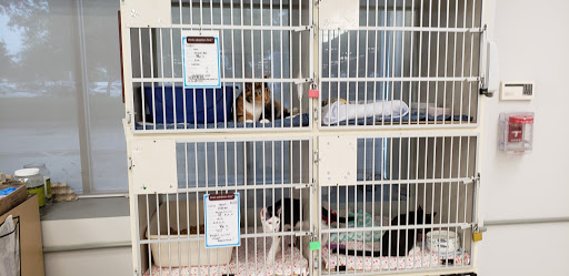 Pet Supply Store «Petco Animal Supplies», reviews and photos, 8111 W Broward Blvd, Plantation, FL 33324, USA