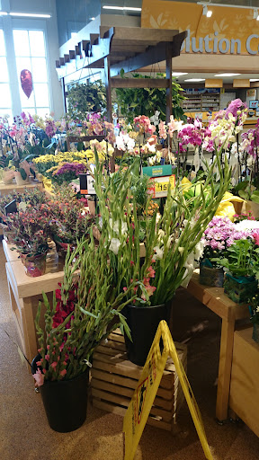 Supermarket «Super Stop & Shop», reviews and photos, 65 Newport Ave, Quincy, MA 02170, USA