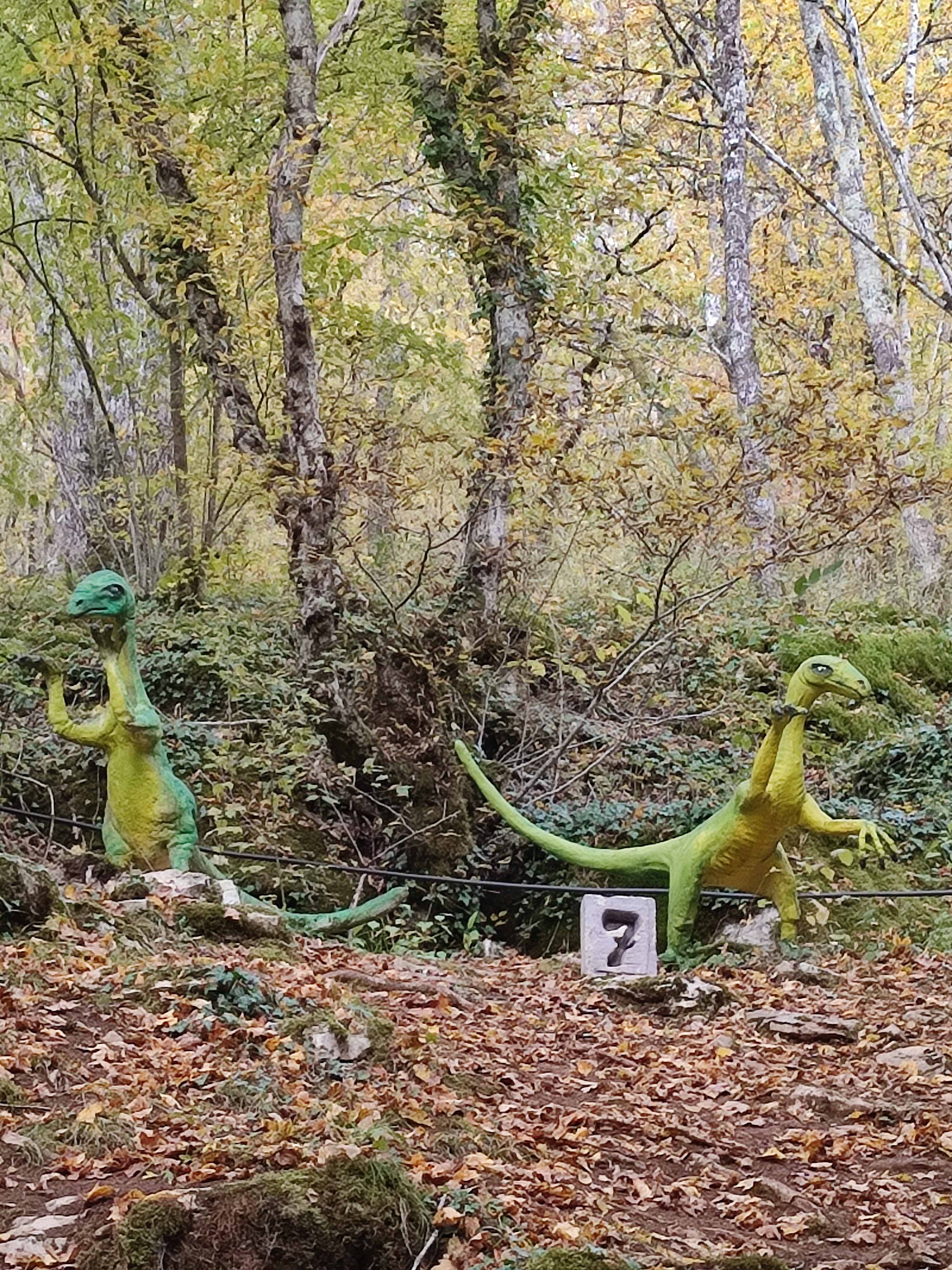 Photo n° 9 de l'avis de Anna.e fait le 05/11/2021 à 20:07