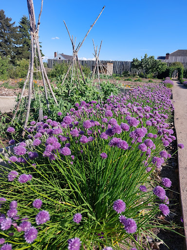 National Park «Fort Vancouver National Historic Site», reviews and photos, 612 E Reserve St, Vancouver, WA 98661, USA