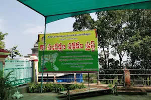 Satyadeva yagasala image
