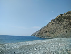 Photo de Paralia Kipos situé dans une zone naturelle