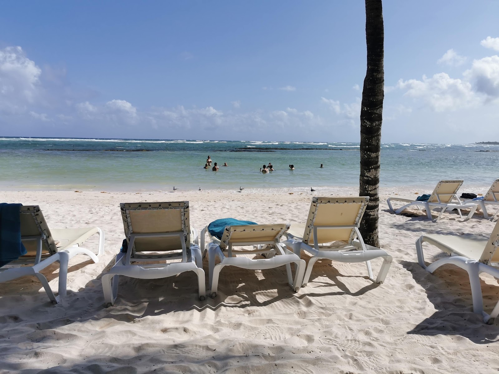 Foto av El Dorado hotel beach - populär plats bland avkopplingskännare
