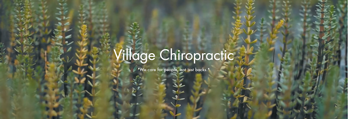 Village Chiropractic Clinic