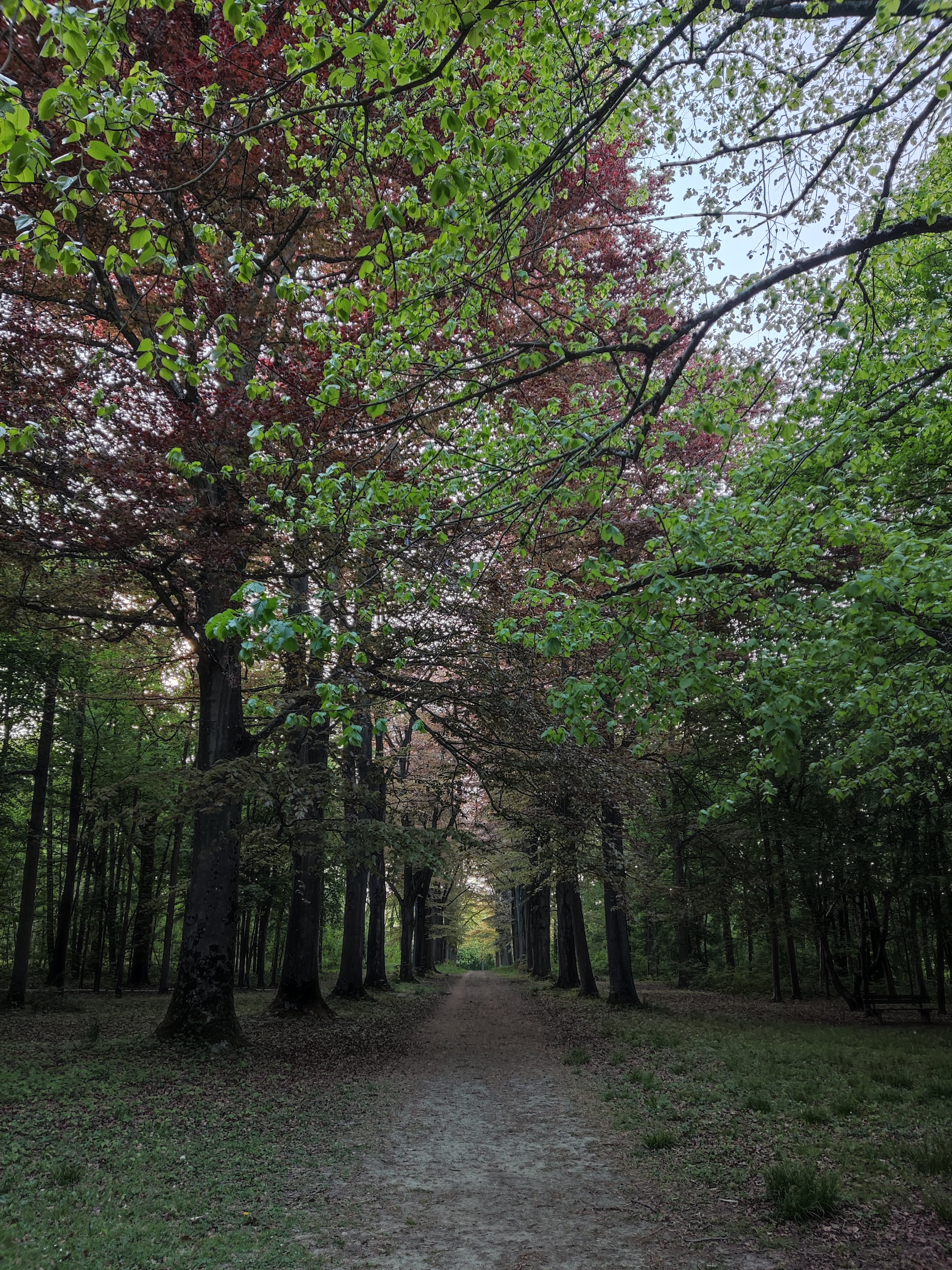 Photo n° 5 de l'avis de Anaïs.o fait le 30/10/2022 à 14:37