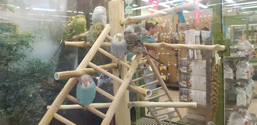 Pet Supply Store «Petco Animal Supplies», reviews and photos, 2519 E Expy 83, Mission, TX 78572, USA