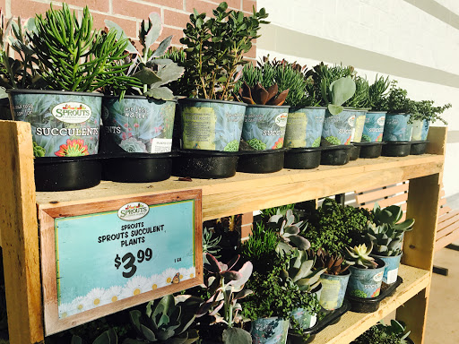 Health Food Store «Sprouts Farmers Market», reviews and photos, 33650 US Hwy 19 N, Palm Harbor, FL 34684, USA