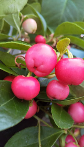 コーナンpro羽曳野伊賀店 4 Chome 2 19 Iga Habikino Osaka Jp Zaubee Com