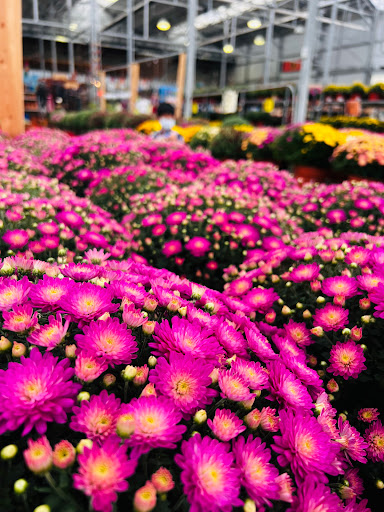 Home Improvement Store «The Home Depot», reviews and photos, 2699 Henry St, Muskegon, MI 49441, USA