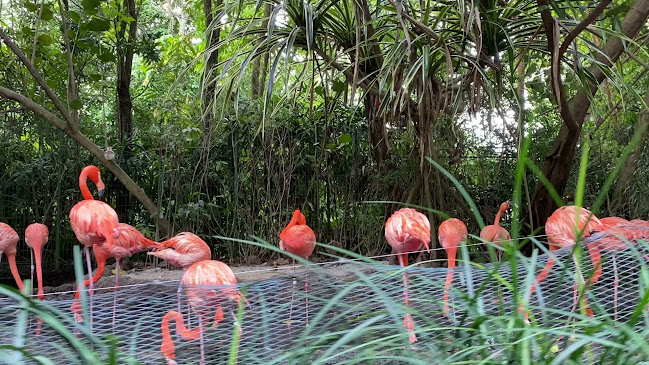 River Wonders - Other