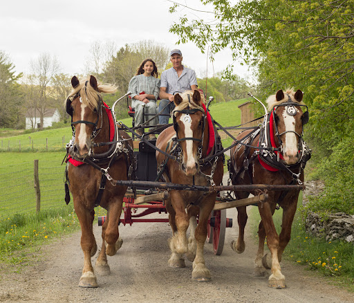 Elk Ravine Farm image 1