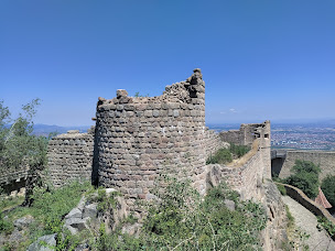 Photo n°99 de Château du Hohlandsbourg à Wintzenheim ()