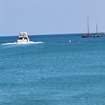 Photo n°11 de l'avis de Franco.a fait le 11/09/2021 à 18:09 sur le  A Stàgh Bàn Casalecchio di Reno à Casalecchio di Reno