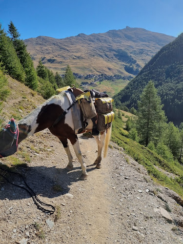 Queyr'âne à Saint-Véran