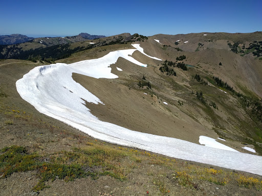 National Park «Olympic National Park», reviews and photos, 3002 Mt Angeles Rd, Port Angeles, WA 98362, USA