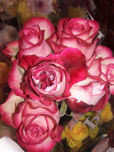 Supermarket «ALDI», reviews and photos, 62 Chase Ave, Waterbury, CT 06704, USA