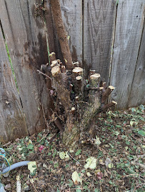 Sew Elegant - Photo 2 - Car repair in San Diego, CA, San Diego