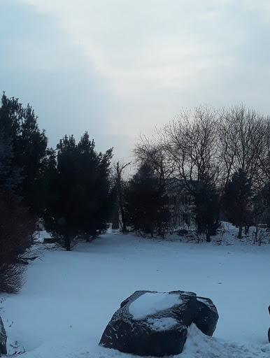 Park «McGrath Park», reviews and photos, 46 Marlborough Rd, Salem, MA 01970, USA