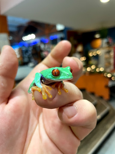 Pet Store «The Pet Works», reviews and photos, 407 4th Ave E, Olympia, WA 98501, USA