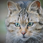 Photo n°3 de l'avis de Eve. fait le 23/01/2019 à 07:08 sur le  Marienteichbaude à Bad Harzburg