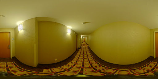 Hotel «Holiday Inn Fort Myers Airport at Town Center», reviews and photos, 9931 Interstate Commerce Dr, Fort Myers, FL 33913, USA