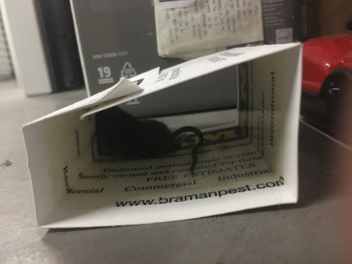 Self-Storage Facility «CubeSmart Self Storage», reviews and photos, 166 Adams St, Manchester, CT 06042, USA