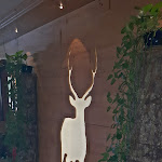 Photo n°4 de l'avis de Hif.i fait le 09/10/2019 à 18:48 sur le  Hotel · Restaurant Sonnenblick à Seewald