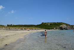 Cala Tortuga的照片 野外区域