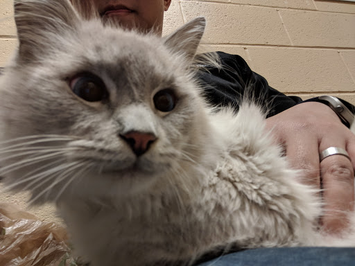 Pet Supply Store «PetSmart», reviews and photos, 9041 Snowden Square Dr, Columbia, MD 21045, USA