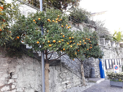 Teresa Camplani Via Lazzaretto, 1, 25123 Brescia BS, Italia