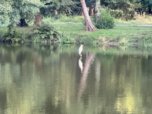 Photo n°75 de Au Bon Coin du Lac à Mimizan ()