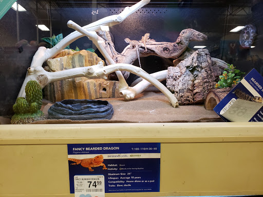 Pet Supply Store «PetSmart», reviews and photos, 3347 E Foothill Blvd, Pasadena, CA 91107, USA