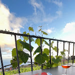 Photo n°1 de l'avis de Javier.o fait le 14/05/2024 à 09:43 sur le  Restaurante Bago à Estreito da Calheta