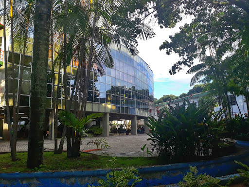 Instituição educacional Manaus